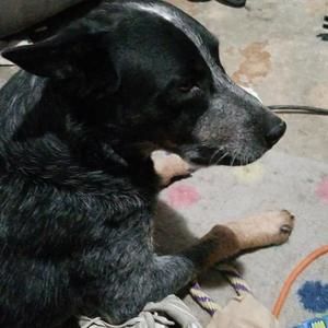 Meet your Posher, Shane